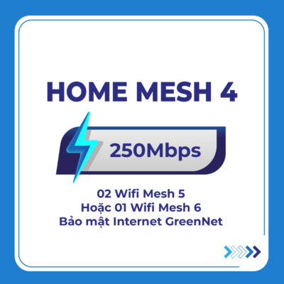 Home-mesh-4-001