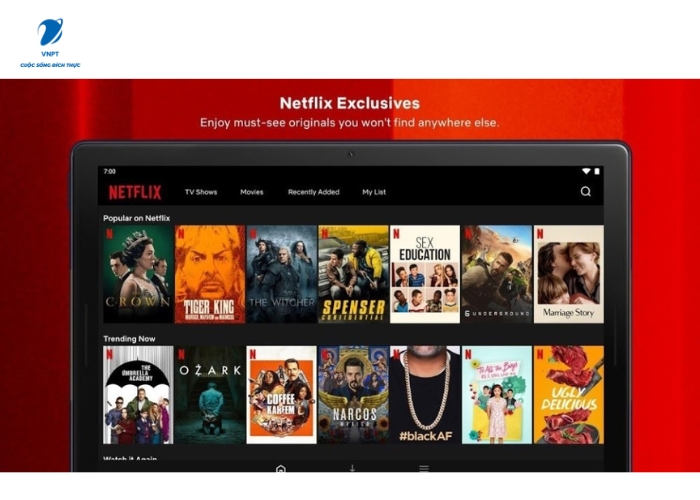 Tài Khoản Netflix Vĩnh Viễn Free (6)
