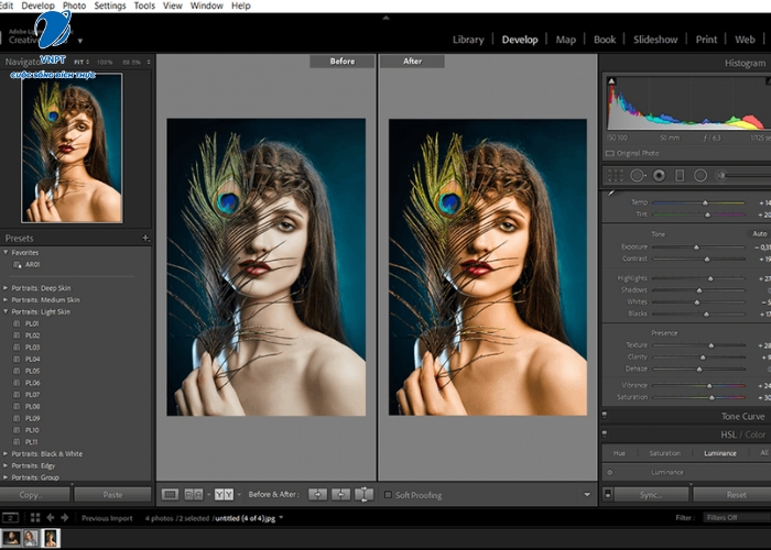Tài Khoản Lightroom Full Màu Miễn Phí (5)