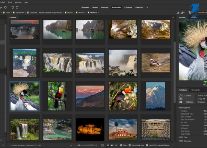 Adobe Bridge (2)