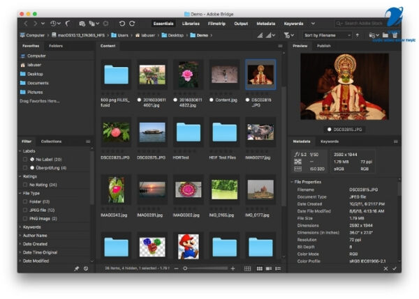 Adobe Bridge là gì? Cách sử dụng hiệu quả cho người mới