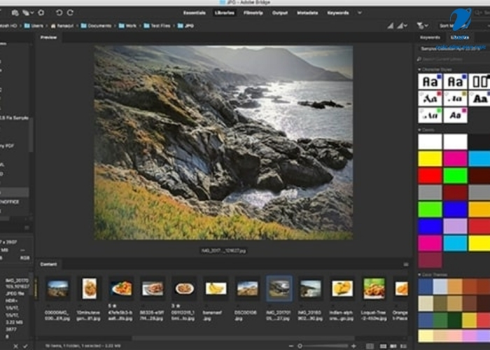 Adobe Bridge (5)