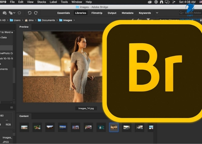 Adobe Bridge (6)